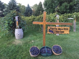 Vineyard with sign